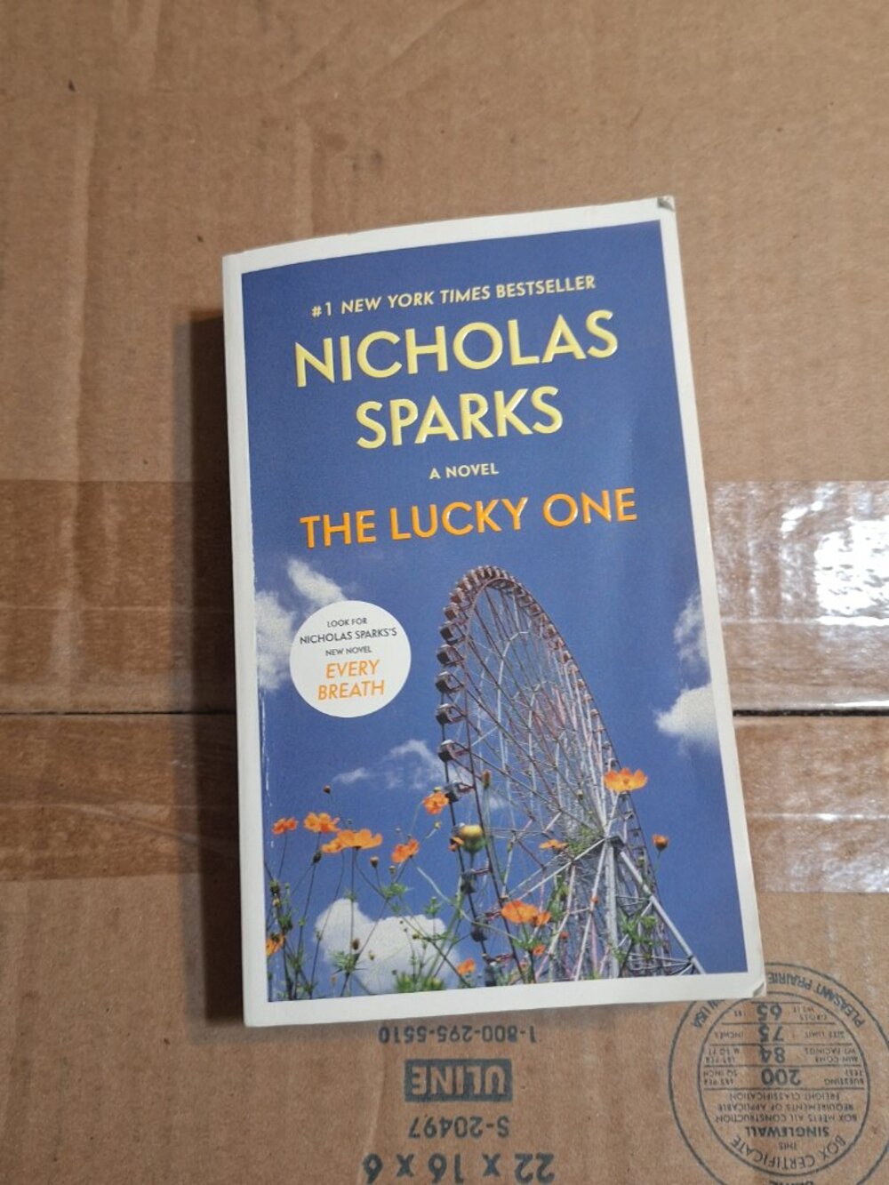 The Lucky One